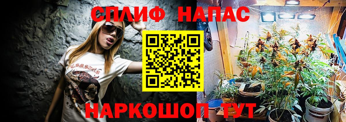 Каннабис SATIVA & INDICA Камень-на-Оби